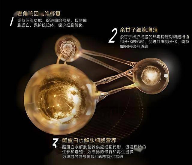 三明动车站市政工程B匝道开拆最后一栋建筑物
